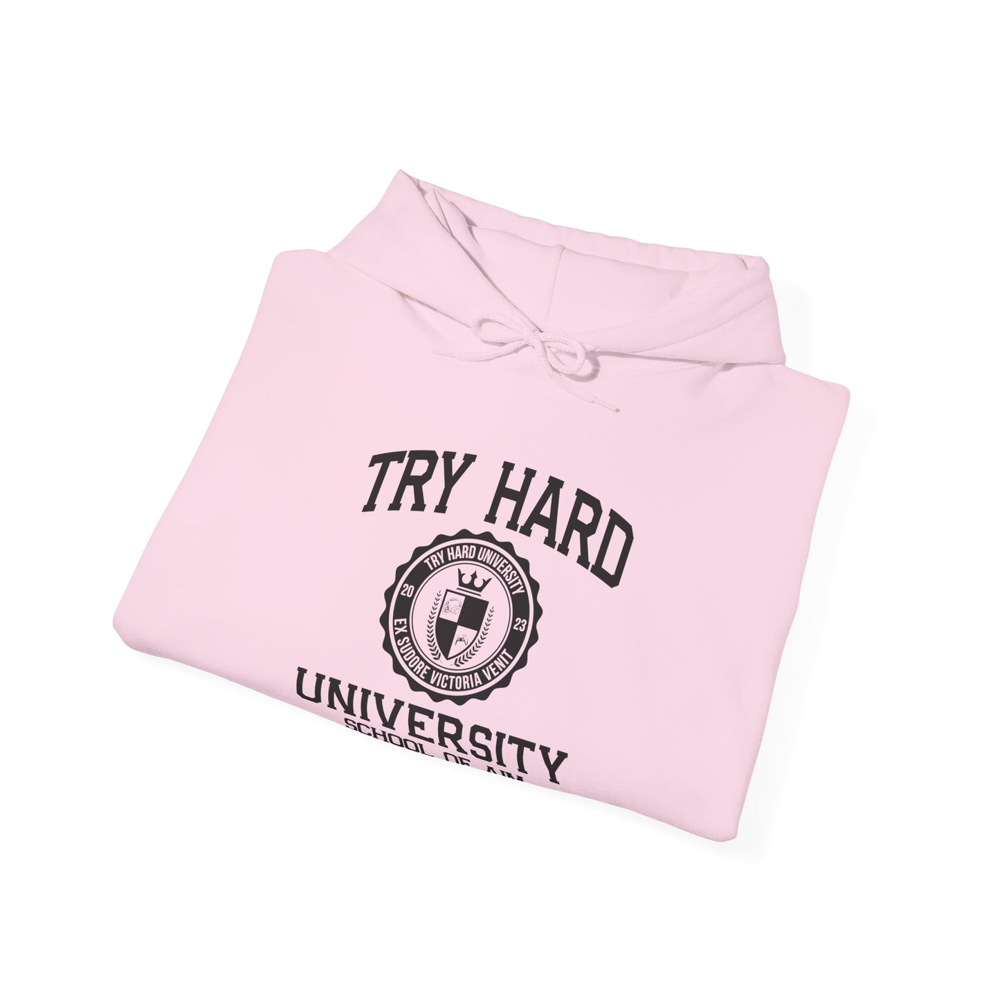 Try Hard University - School of Aim & Precision Engineering