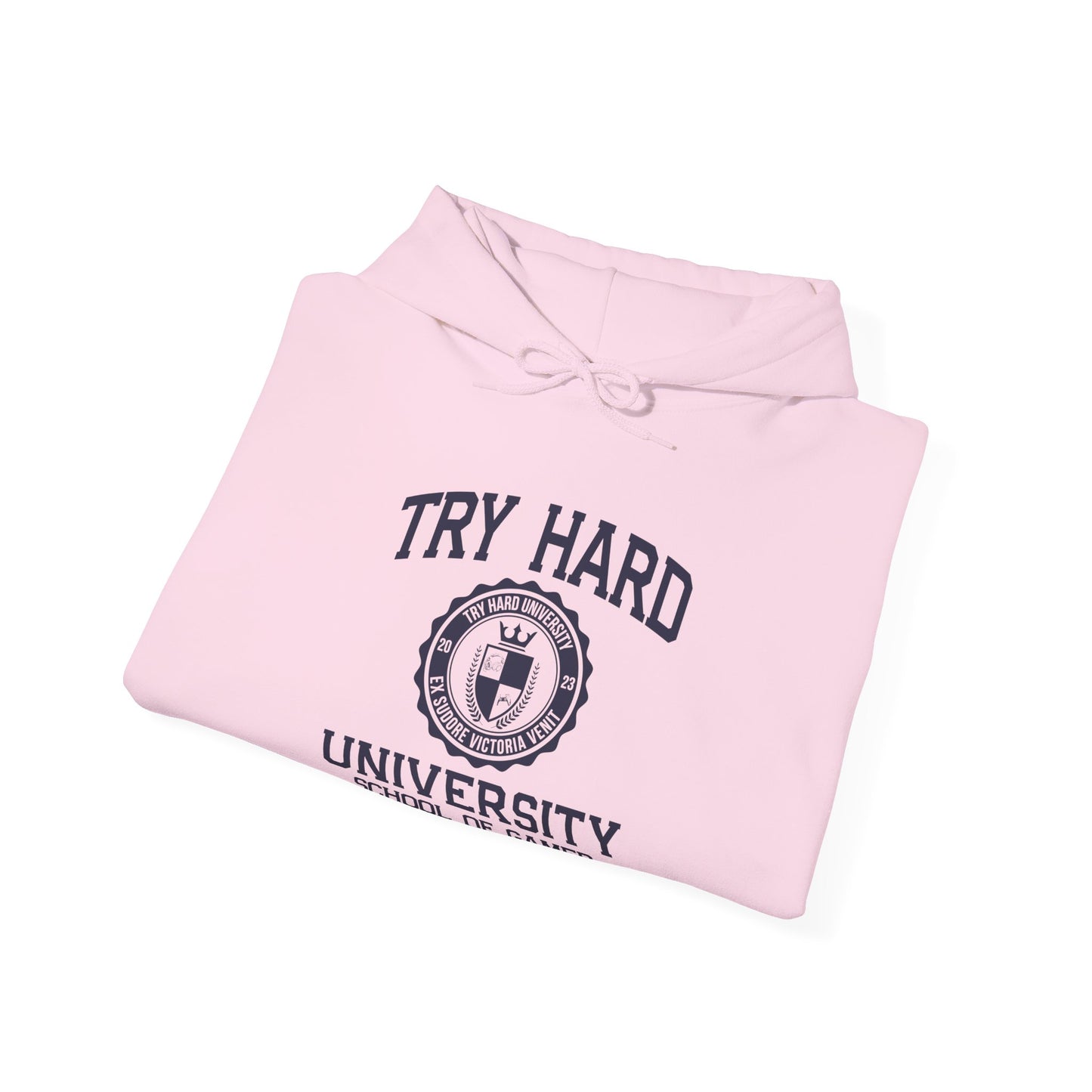 Try Hard University - School of Gamer Rage Management