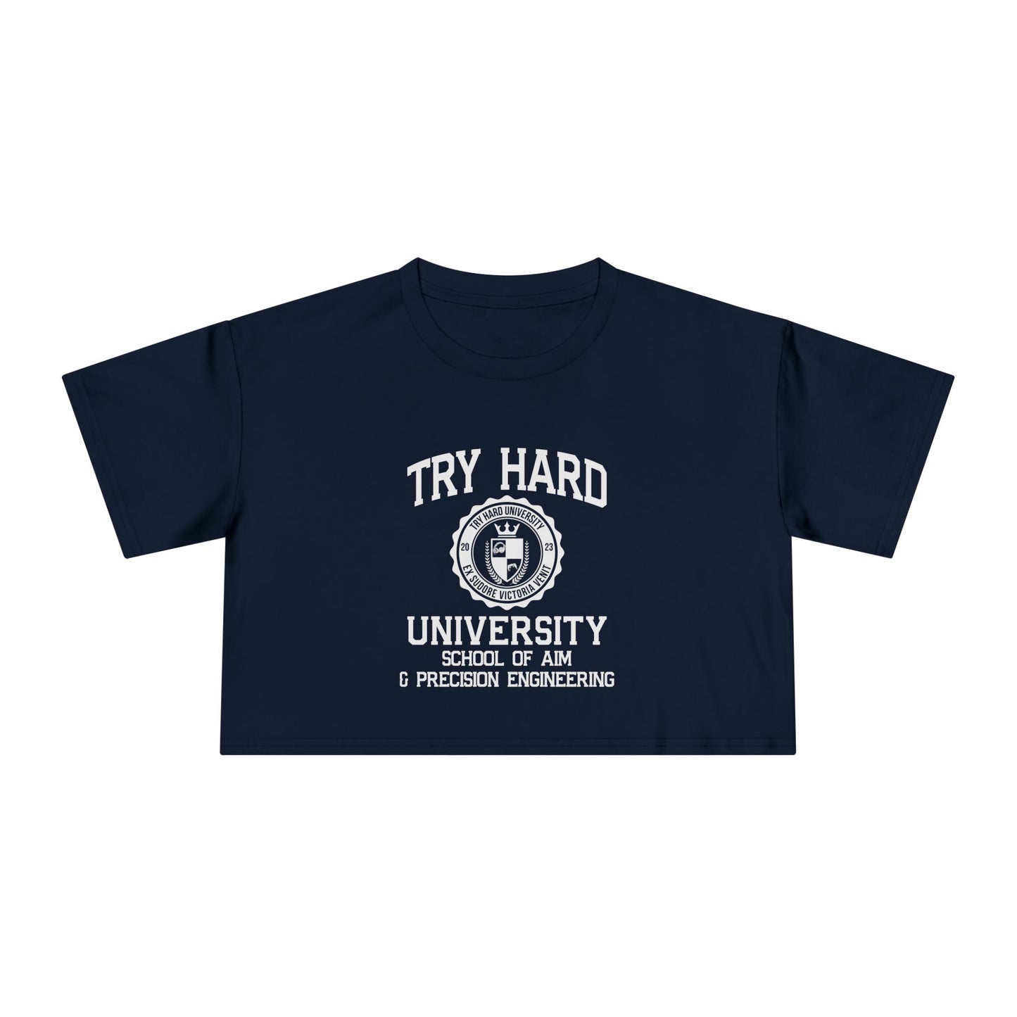 Try Hard University -  School of Aim & Precision Engineering