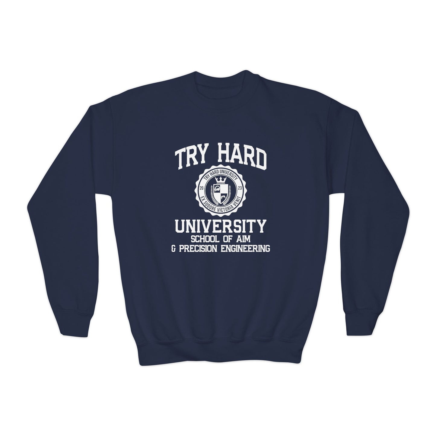 Try Hard University -  School of Aim & Precision Engineering