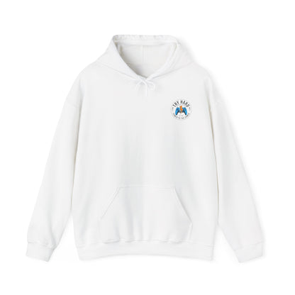 Try Hard Logo - Color