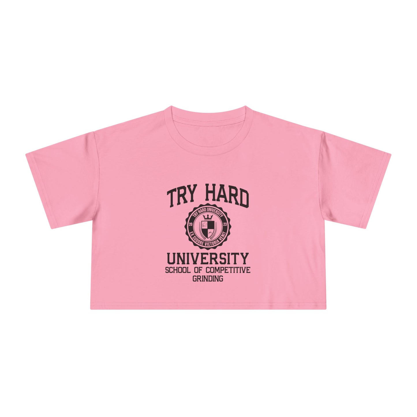 Try Hard University - School of Competitive Grinding