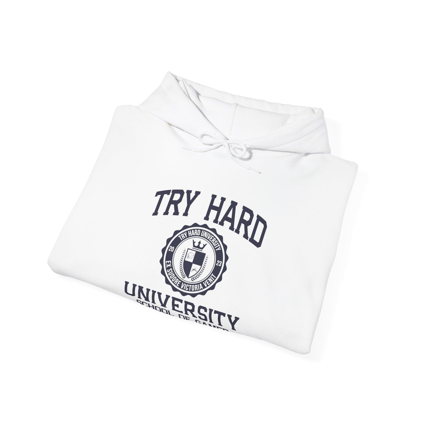 Try Hard University - School of Gamer Rage Management