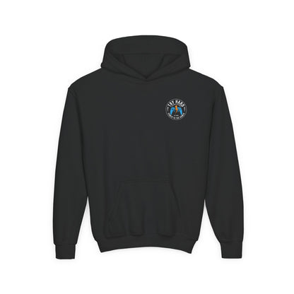Try Hard Logo - Color