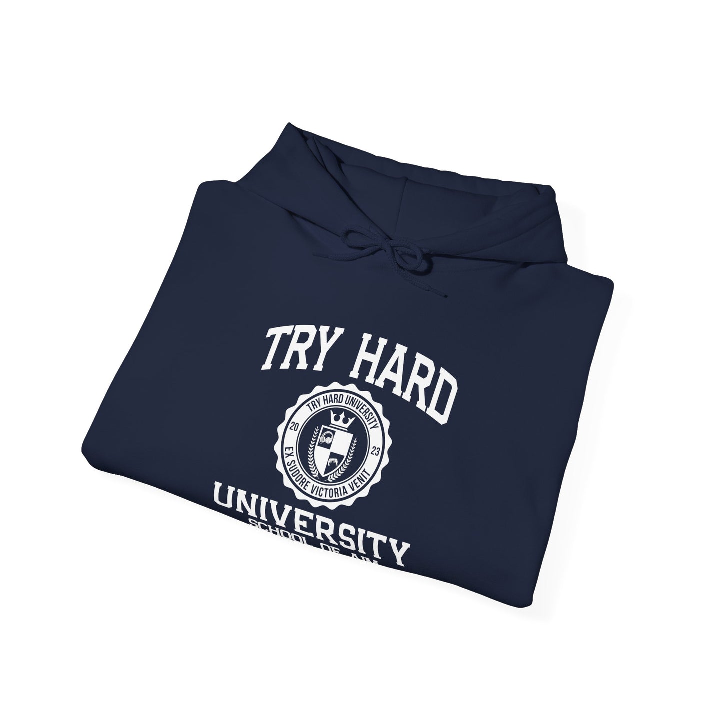 Try Hard University -  School of Aim & Precision Engineering