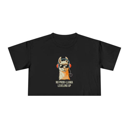 No Prob-Llama Leveling Up