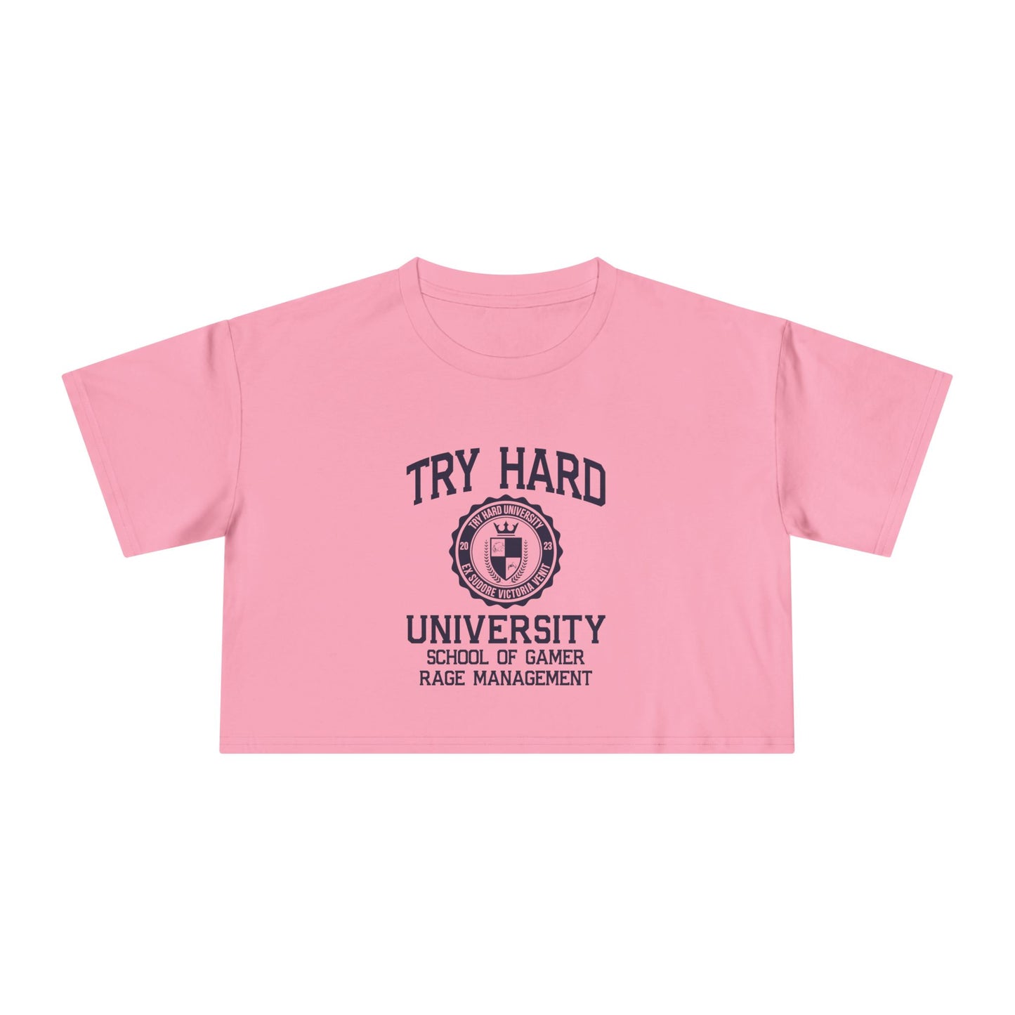 Try Hard University - School of Gamer Rage Management