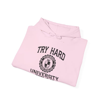 Try Hard University -  School of Aim & Precision Engineering