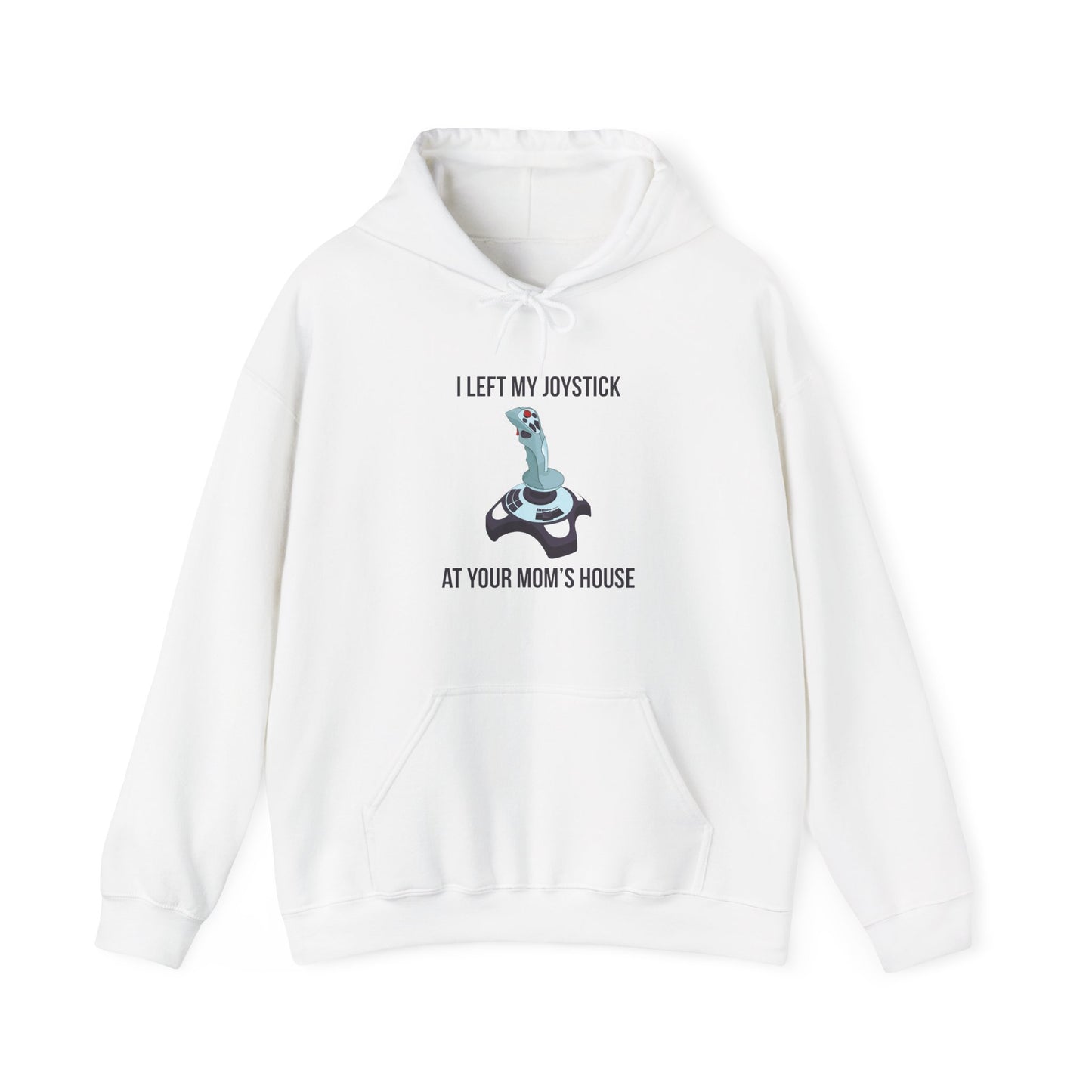 I Left My Joystick at your Mom's House