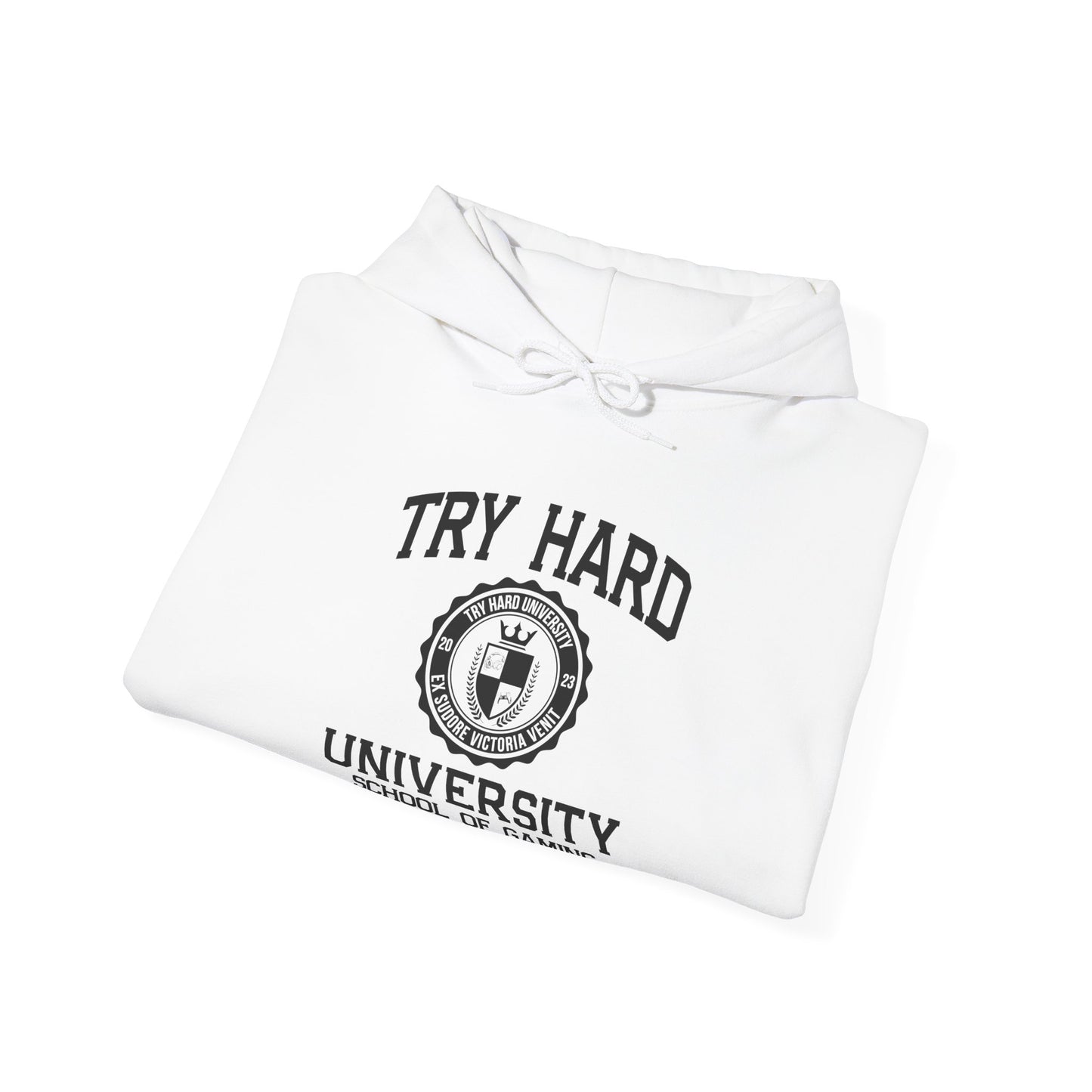 Try Hard University -  School of Gaming Sciences