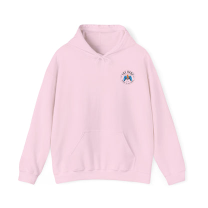 Try Hard Logo - Color