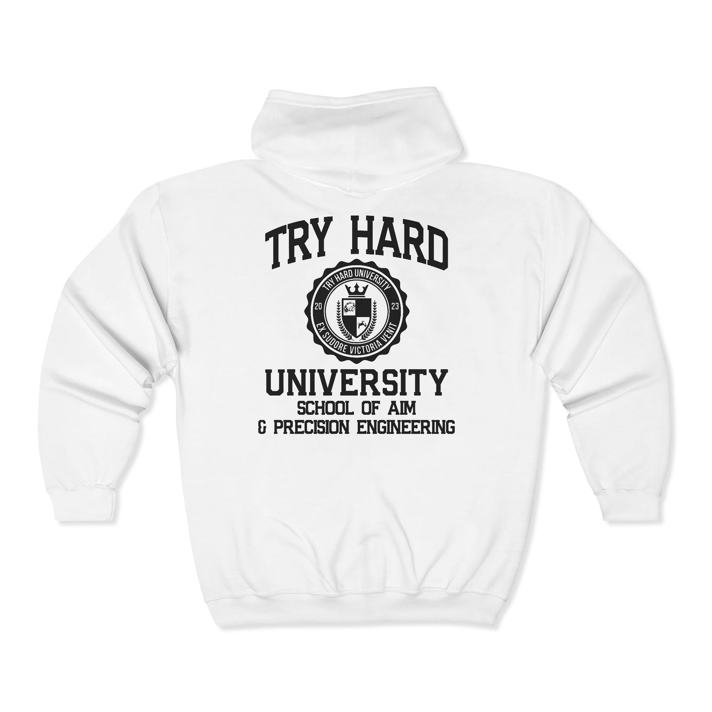 Try Hard University -  School of Aim & Precision Engineering
