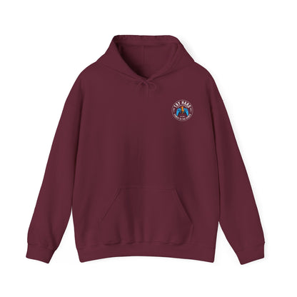 Try Hard Logo - Color