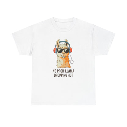No Prob-Llama Dropping Hot