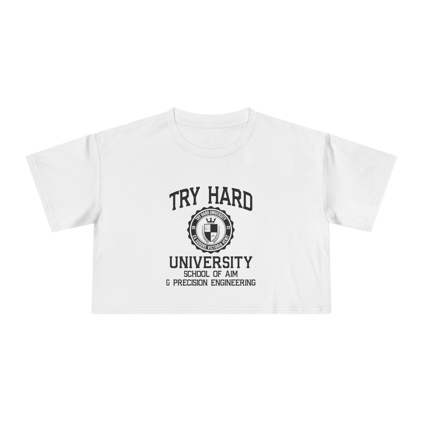 Try Hard University -  School of Aim & Precision Engineering