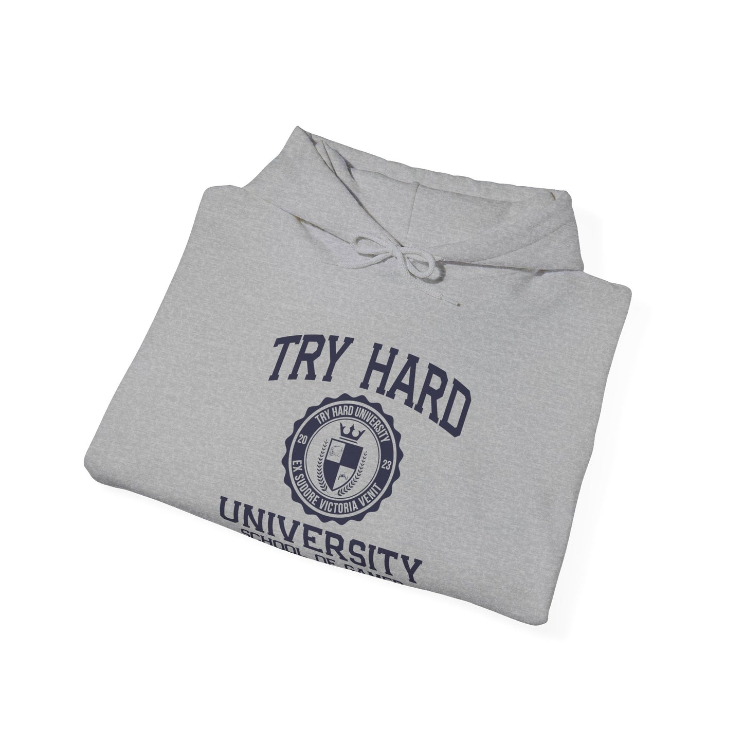 Try Hard University - School of Gamer Rage Management