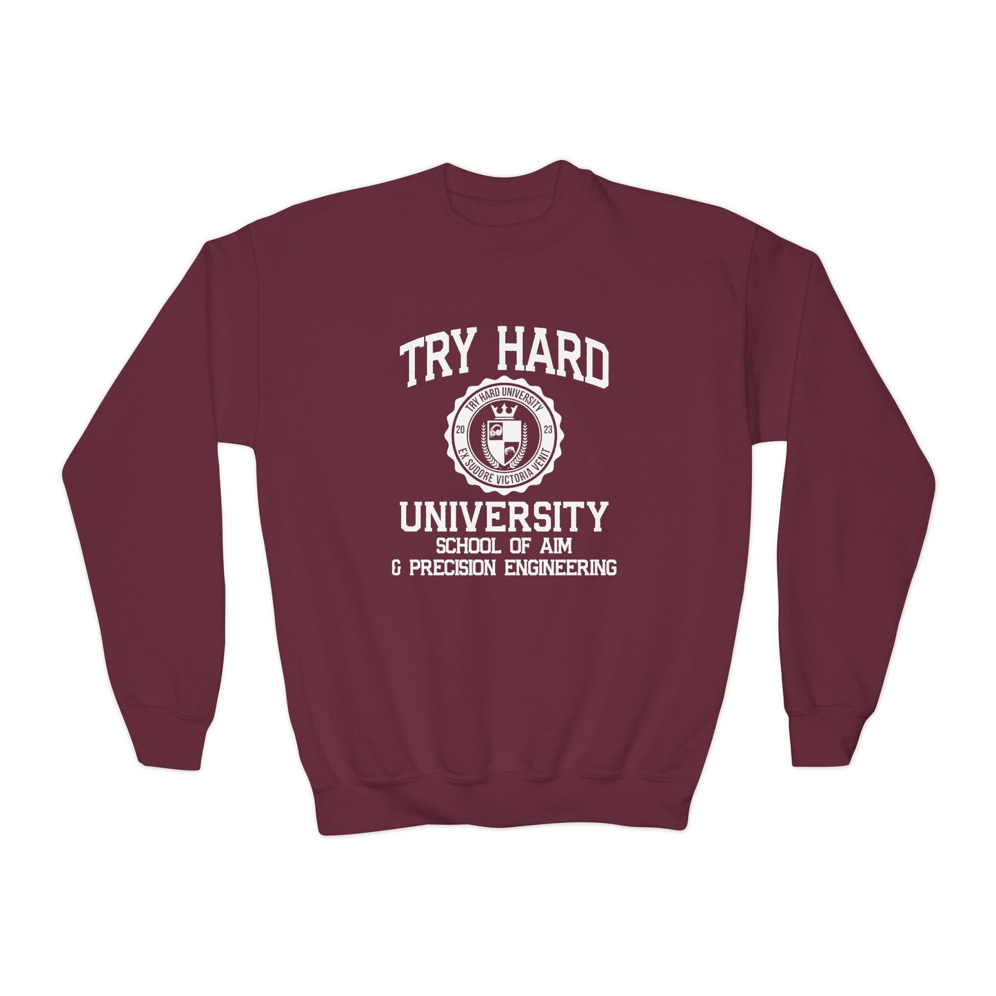 Try Hard University -  School of Aim & Precision Engineering
