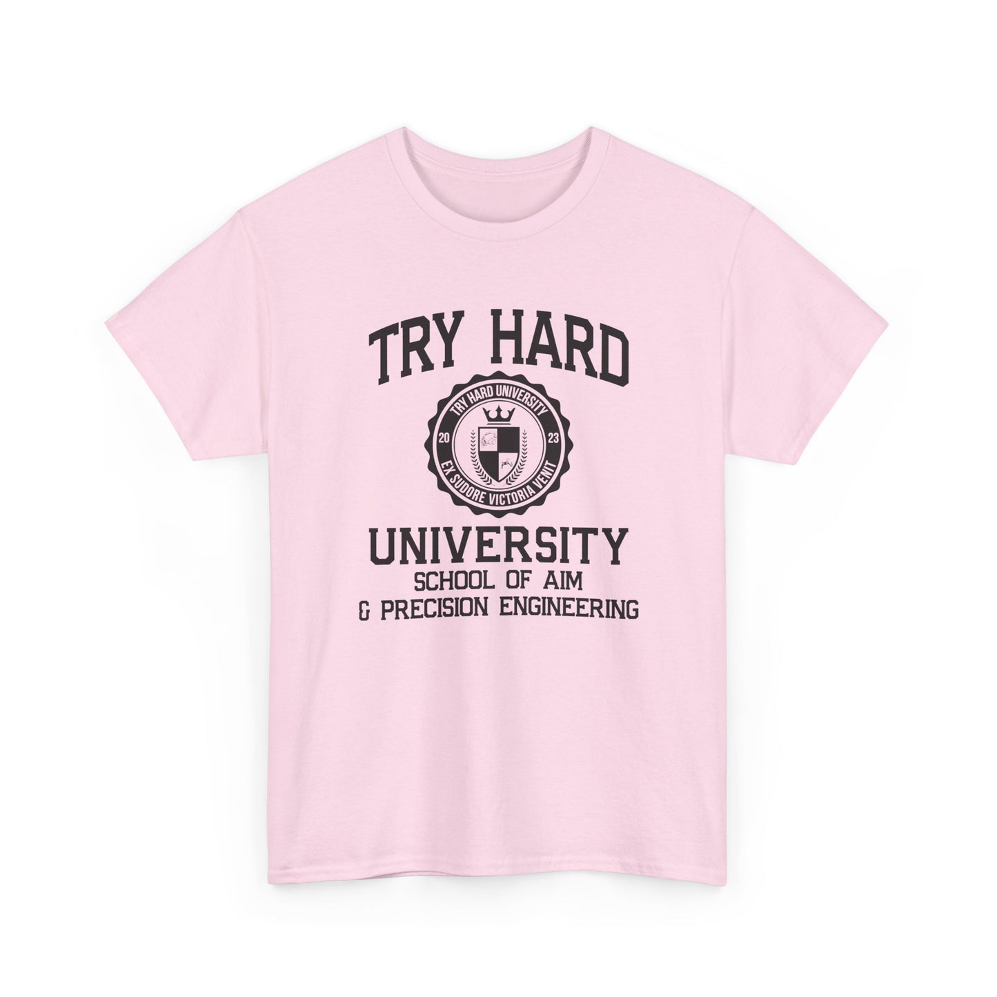 Try Hard University -  School of Aim & Precision Engineering